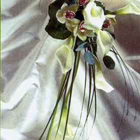 fwthumb2. Elegance.jpg